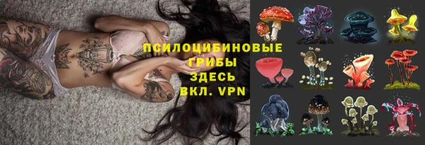 бошки Бородино