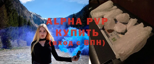 PSILOCYBIN Волосово